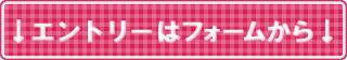 興味がある方は、まずエントリーしてください。エントリーフォームはこちらから